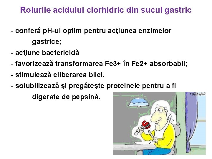 Rolurile acidului clorhidric din sucul gastric - conferă p. H-ul optim pentru acţiunea enzimelor