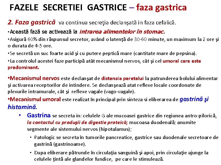 FAZELE SECRETIEI GASTRICE – faza gastrica 2. Faza gastrică va continua secreţia declanşată in