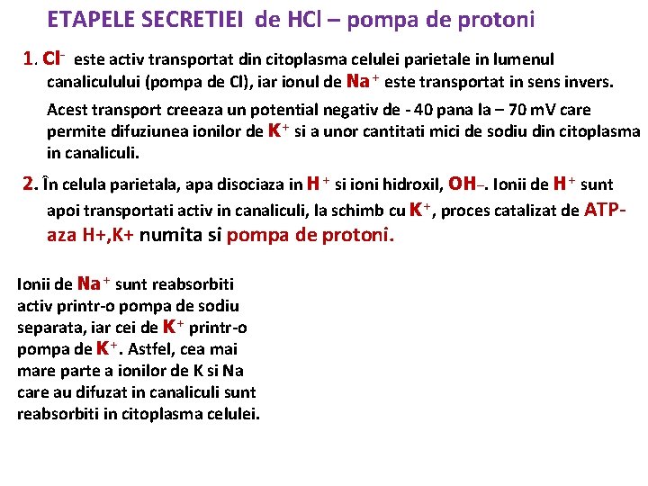 ETAPELE SECRETIEI de HCl – pompa de protoni 1. Cl- este activ transportat din