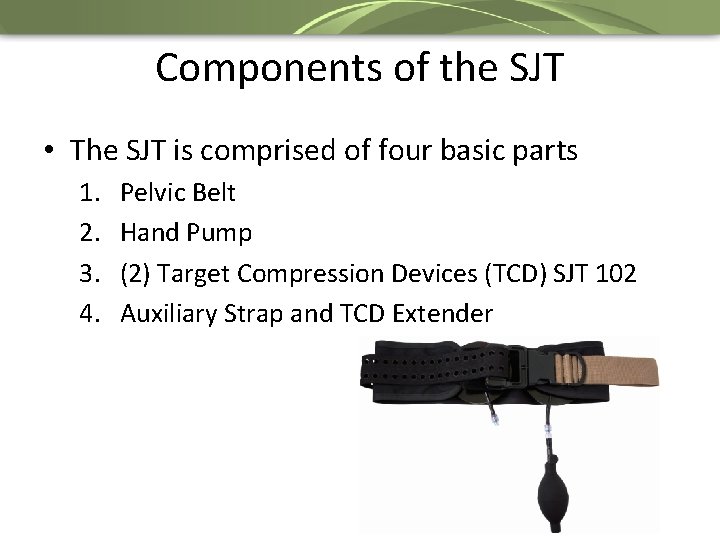 Components of the SJT • The SJT is comprised of four basic parts 1.