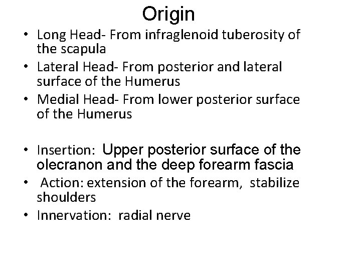 Origin • Long Head- From infraglenoid tuberosity of the scapula • Lateral Head- From