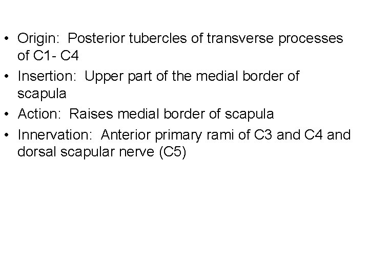  • Origin: Posterior tubercles of transverse processes of C 1 - C 4
