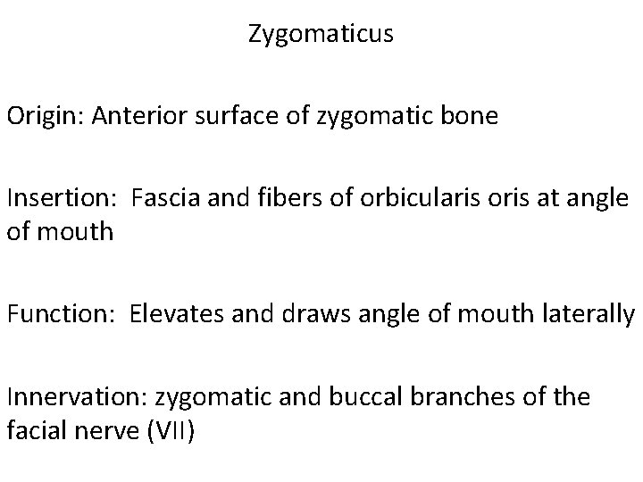 Zygomaticus Origin: Anterior surface of zygomatic bone Insertion: Fascia and fibers of orbicularis oris