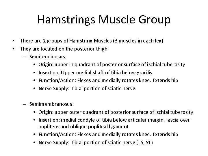 Hamstrings Muscle Group • • There are 2 groups of Hamstring Muscles (3 muscles