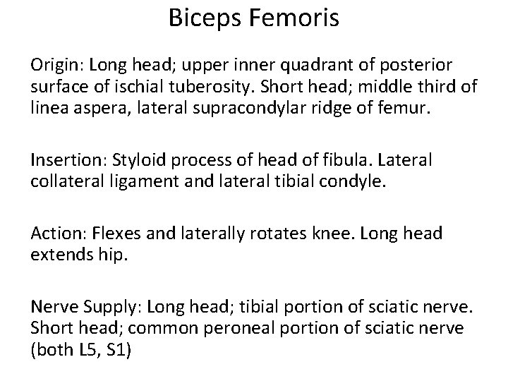 Biceps Femoris Origin: Long head; upper inner quadrant of posterior surface of ischial tuberosity.