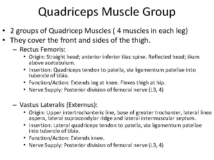 Quadriceps Muscle Group • 2 groups of Quadricep Muscles ( 4 muscles in each