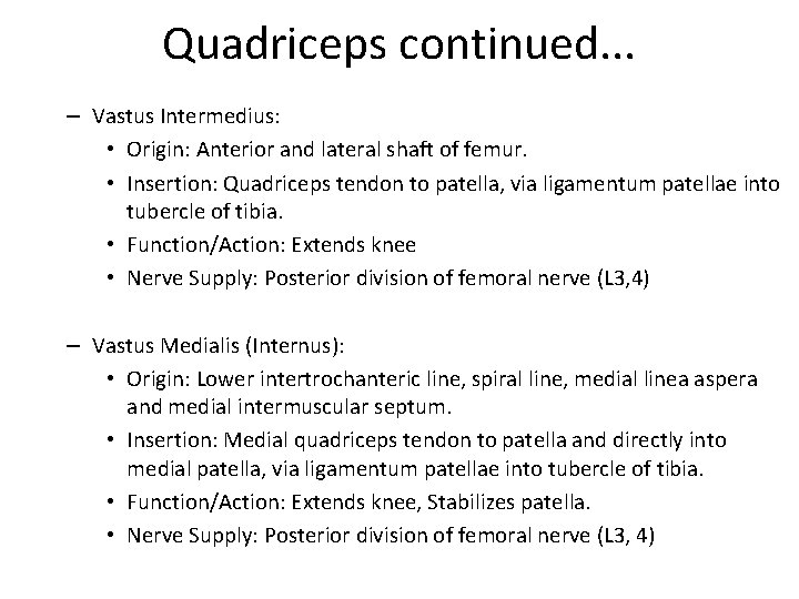 Quadriceps continued. . . – Vastus Intermedius: • Origin: Anterior and lateral shaft of
