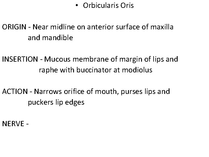  • Orbicularis ORIGIN - Near midline on anterior surface of maxilla and mandible