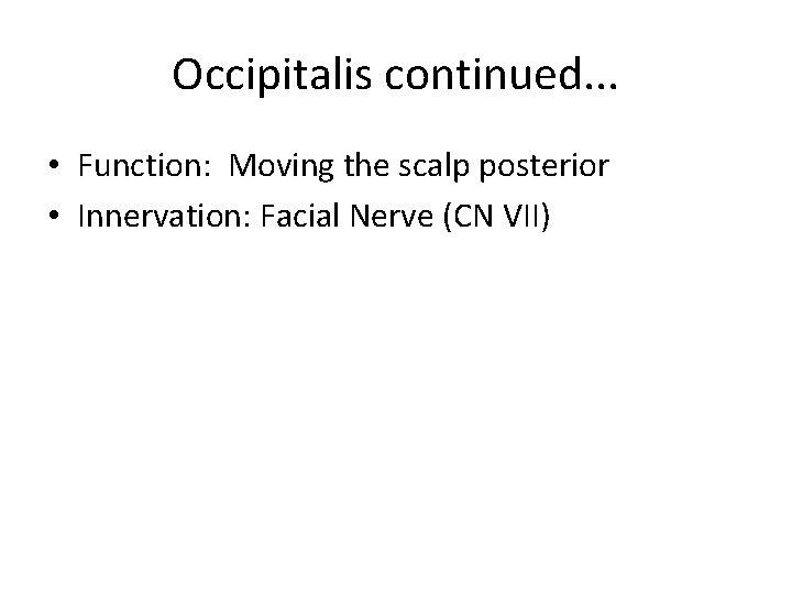 Occipitalis continued. . . • Function: Moving the scalp posterior • Innervation: Facial Nerve