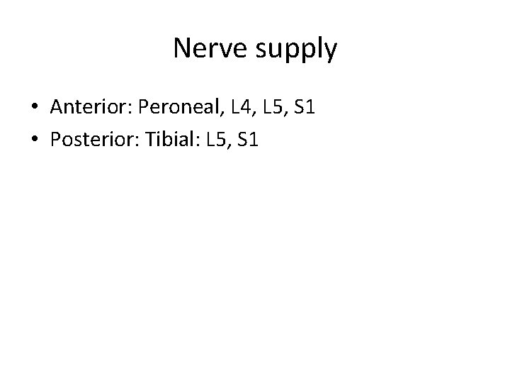 Nerve supply • Anterior: Peroneal, L 4, L 5, S 1 • Posterior: Tibial: