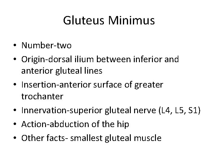 Gluteus Minimus • Number-two • Origin-dorsal ilium between inferior and anterior gluteal lines •