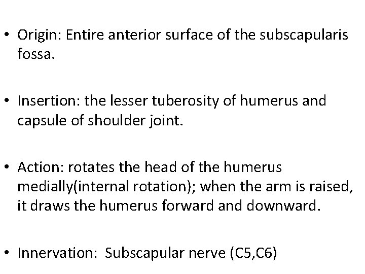  • Origin: Entire anterior surface of the subscapularis fossa. • Insertion: the lesser