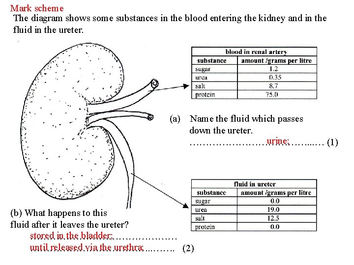 Mark scheme The diagram shows some substances in the blood entering the kidney and