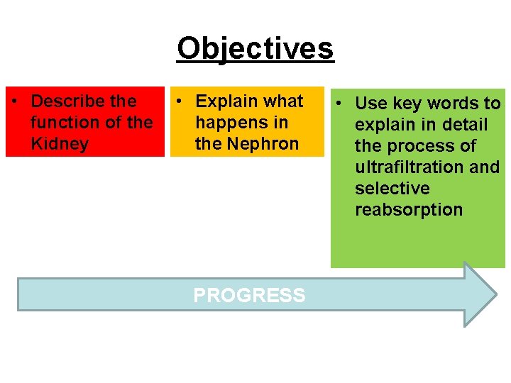 Objectives • Describe the function of the Kidney • Explain what happens in the