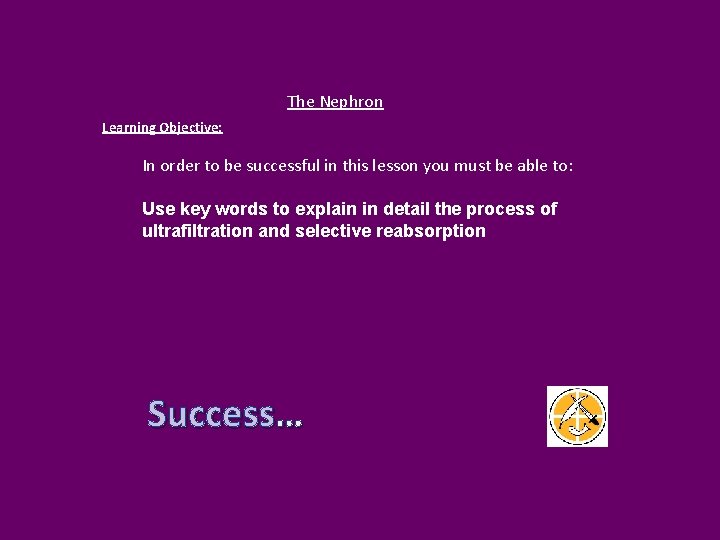 The Nephron Learning Objective: In order to be successful in this lesson you must