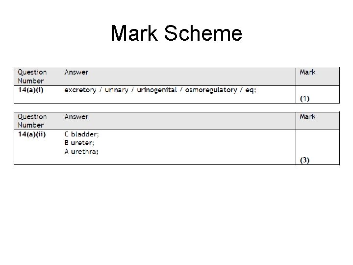 Mark Scheme 