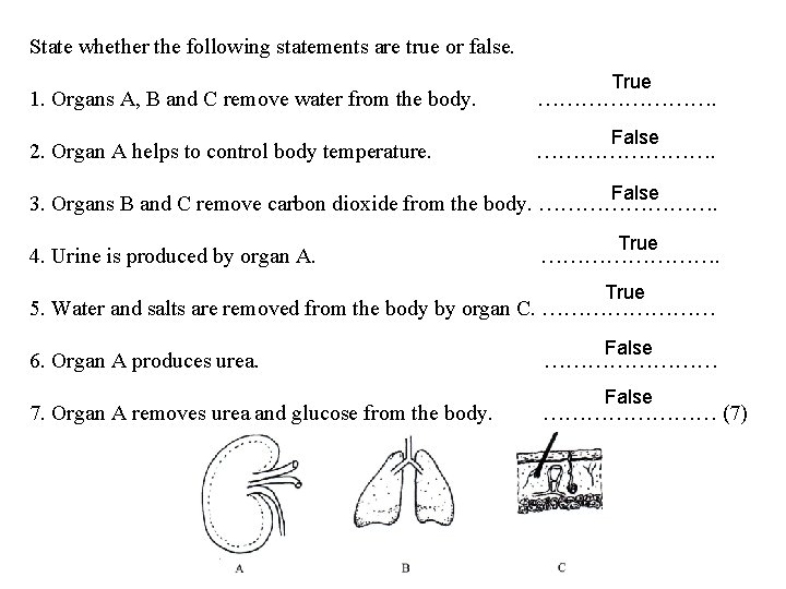 State whether the following statements are true or false. True 1. Organs A, B