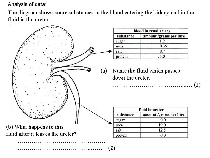 Analysis of data: The diagram shows some substances in the blood entering the kidney
