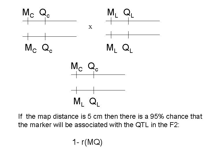 MC Q c ML Q L x MC Q c ML Q L If MC Q c ML Q L x MC Q c ML Q L If