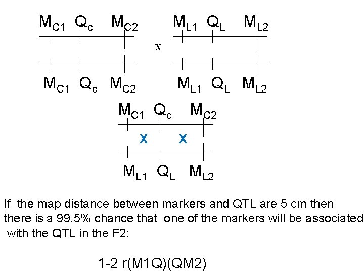 MC 1 Qc MC 2 ML 1 QL ML 2 x MC 1 Qc MC 1 Qc MC 2 ML 1 QL ML 2 x MC 1 Qc