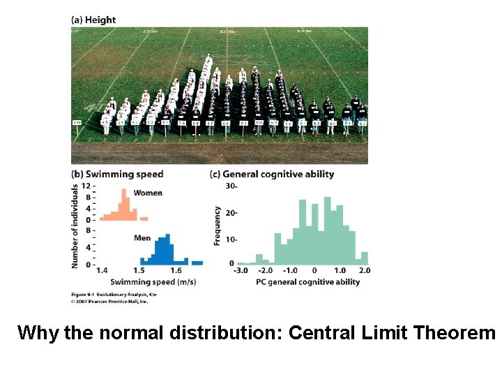 Why the normal distribution: Central Limit Theorem Why the normal distribution: Central Limit Theorem