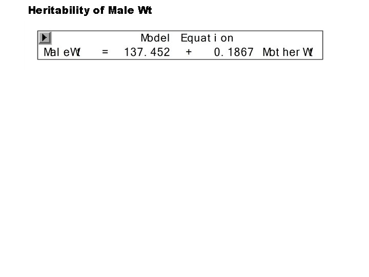 Heritability of Male Wt Heritability of Male Wt