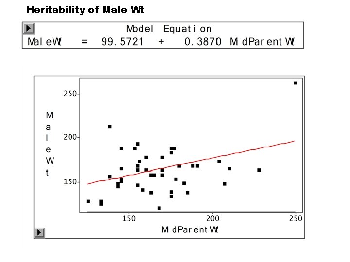 Heritability of Male Wt Heritability of Male Wt