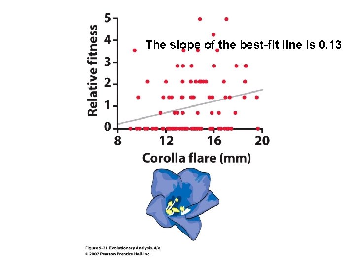 The slope of the best-fit line is 0. 13 The slope of the best-fit line is 0. 13
