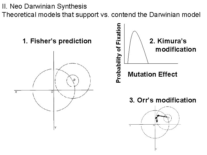 1. Fisher’s prediction Probability of Fixation II. Neo Darwinian Synthesis Theoretical models that support 1. Fisher’s prediction Probability of Fixation II. Neo Darwinian Synthesis Theoretical models that support