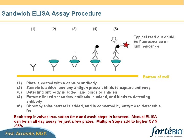 Sandwich ELISA Assay Procedure Typical read out could be fluorescence or luminescence Bottom of