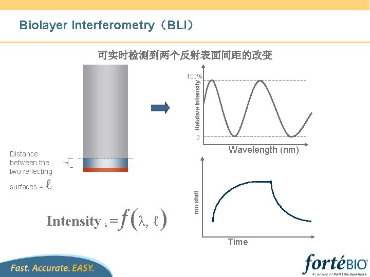 Biolayer Interferometry（BLI） 可实时检测到两个反射表面间距的改变 Relative Intensity 100% 0 Wavelength (nm) surfaces = ℓ Intensity λ