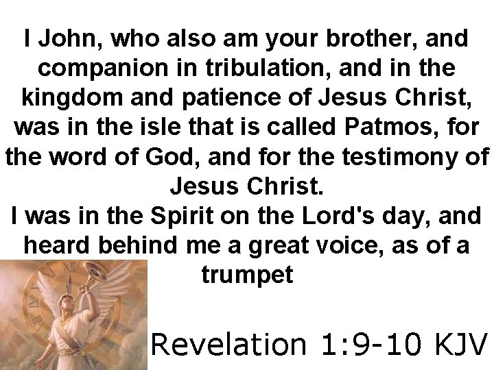 I John, who also am your brother, and companion in tribulation, and in the