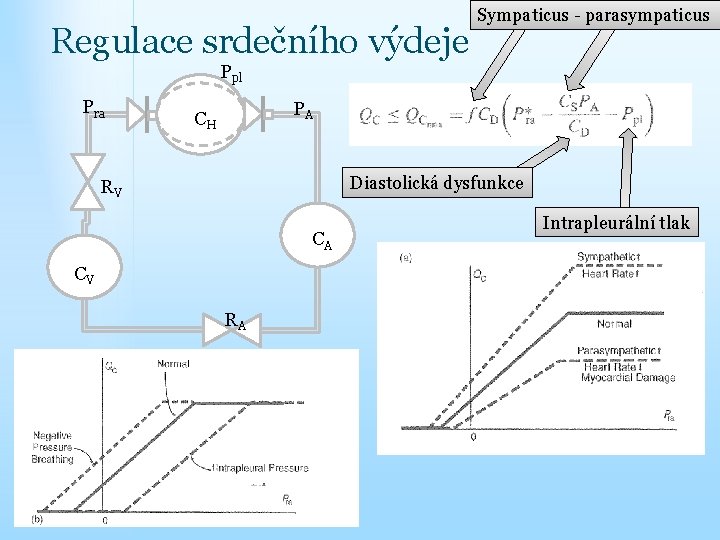 Regulace srdečního výdeje Sympaticus - parasympaticus Ppl Pra PA CH Diastolická dysfunkce RV CA