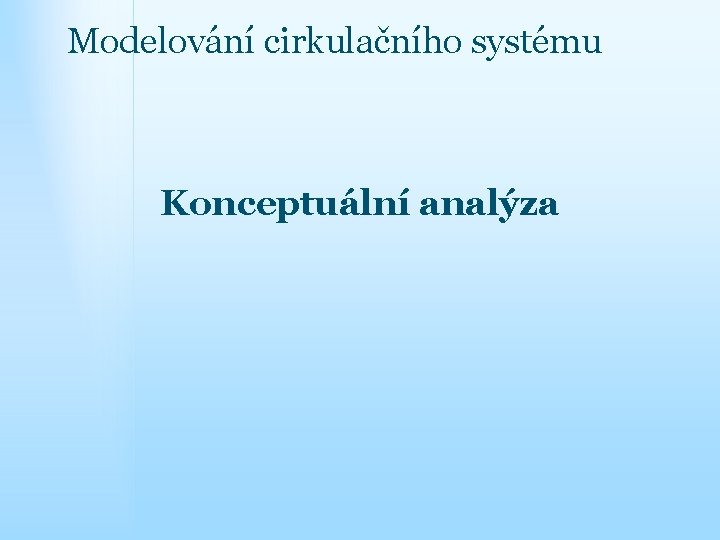 Modelování cirkulačního systému Konceptuální analýza 