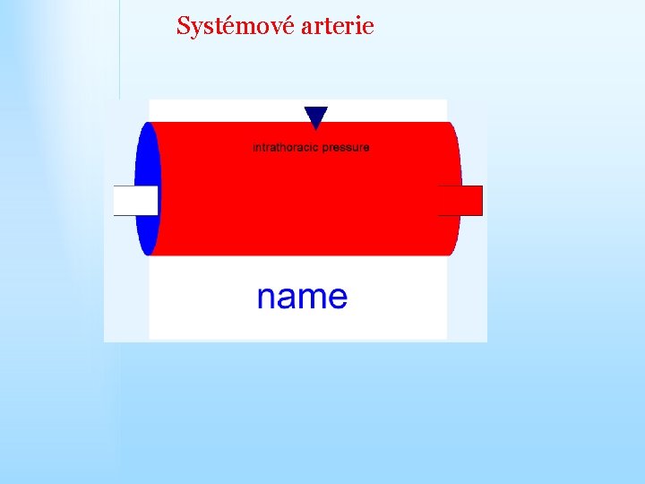 Systémové arterie 