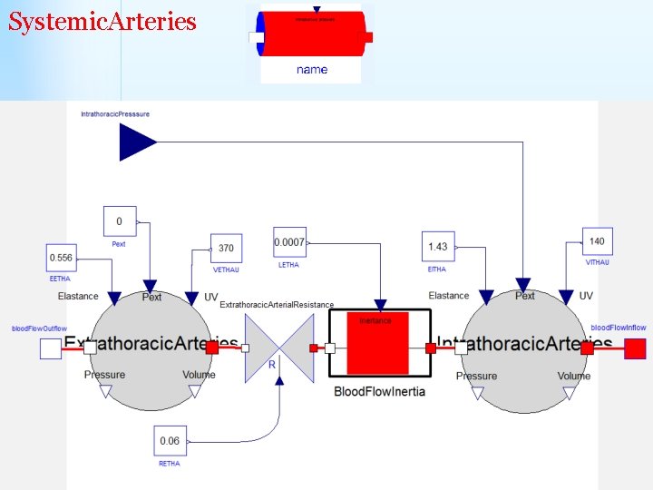 Systemic. Arteries 