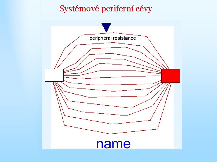 Systémové periferní cévy 