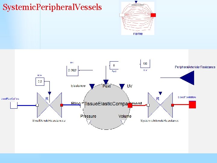 Systemic. Peripheral. Vessels 