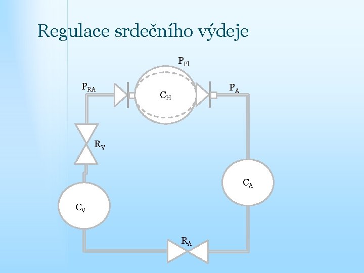 Regulace srdečního výdeje PPl PRA PA CH RV CA CV RA 