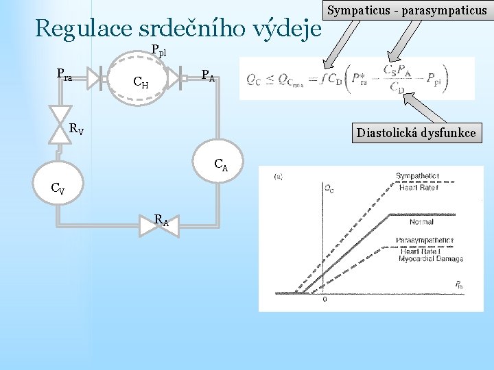 Regulace srdečního výdeje Sympaticus - parasympaticus Ppl Pra PA CH RV Diastolická dysfunkce CA