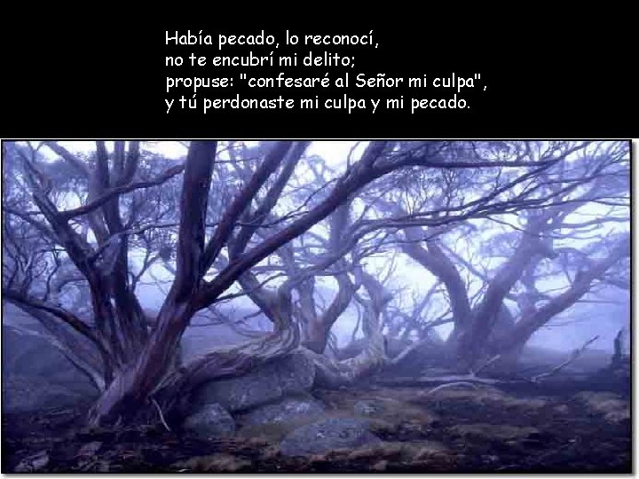 Había pecado, lo reconocí, no te encubrí mi delito; propuse: "confesaré al Señor mi