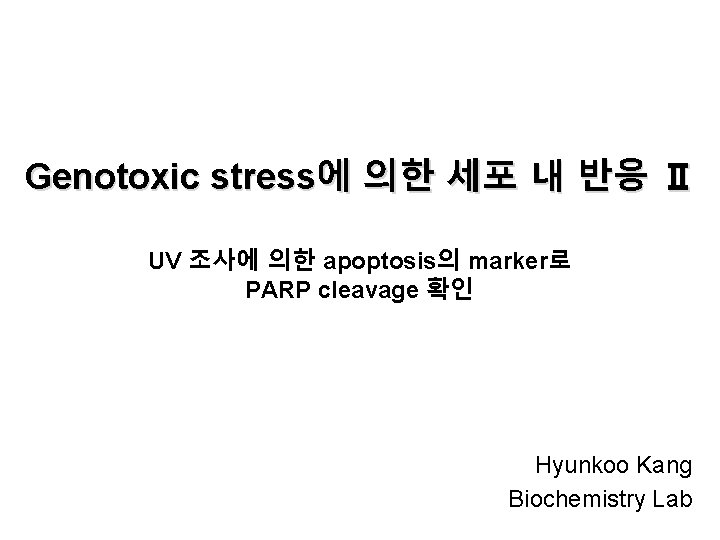 Genotoxic stress에 의한 세포 내 반응 Ⅱ UV 조사에 의한 apoptosis의 marker로 PARP cleavage Genotoxic stress에 의한 세포 내 반응 Ⅱ UV 조사에 의한 apoptosis의 marker로 PARP cleavage