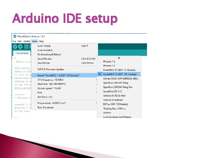 Arduino IDE setup 