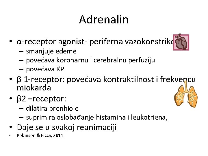 Adrenalin • α-receptor agonist- periferna vazokonstrikcija: – smanjuje edeme – povećava koronarnu i cerebralnu