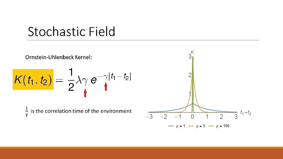 Stochastic Field 