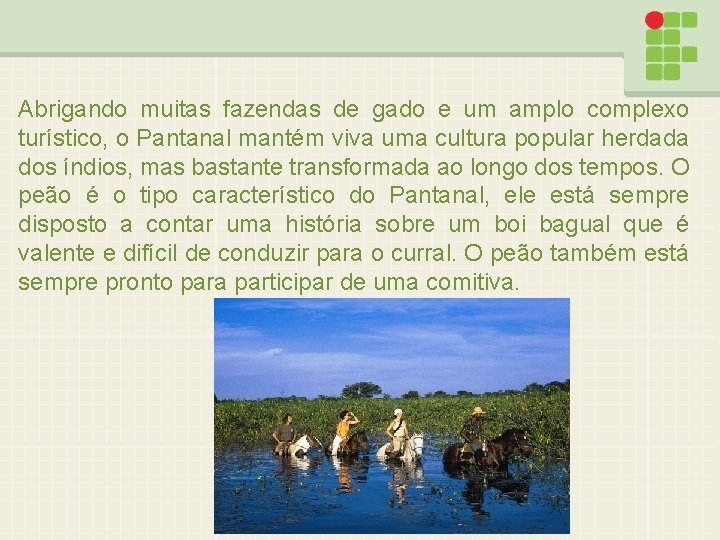 Abrigando muitas fazendas de gado e um amplo complexo turístico, o Pantanal mantém viva