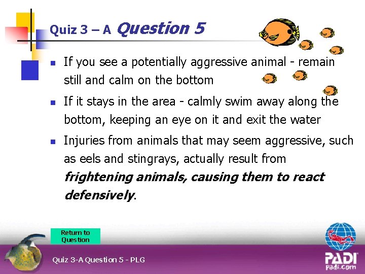 Quiz 3 – A n n n Question 5 If you see a potentially