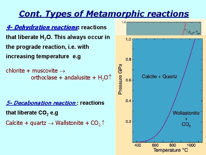 Cont. Types of Metamorphic reactions 4 - Dehydration reactions: reactions that liberate H 2