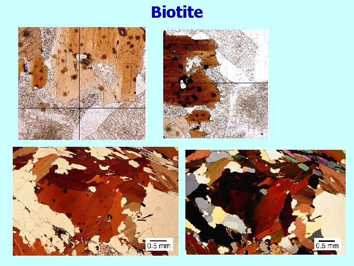 Biotite 