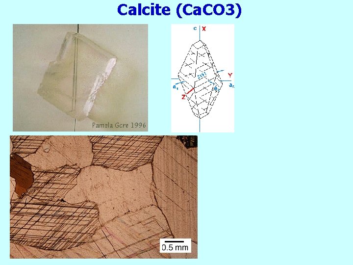 Calcite (Ca. CO 3) 